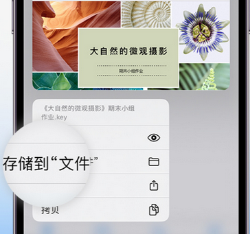 彬县apple维修中心分享iPhone文件应用中存储和找到下载文件