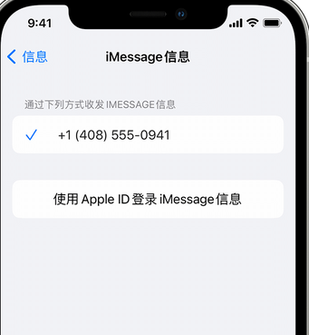 彬县apple维修iPhone上无法正常发送iMessage信息