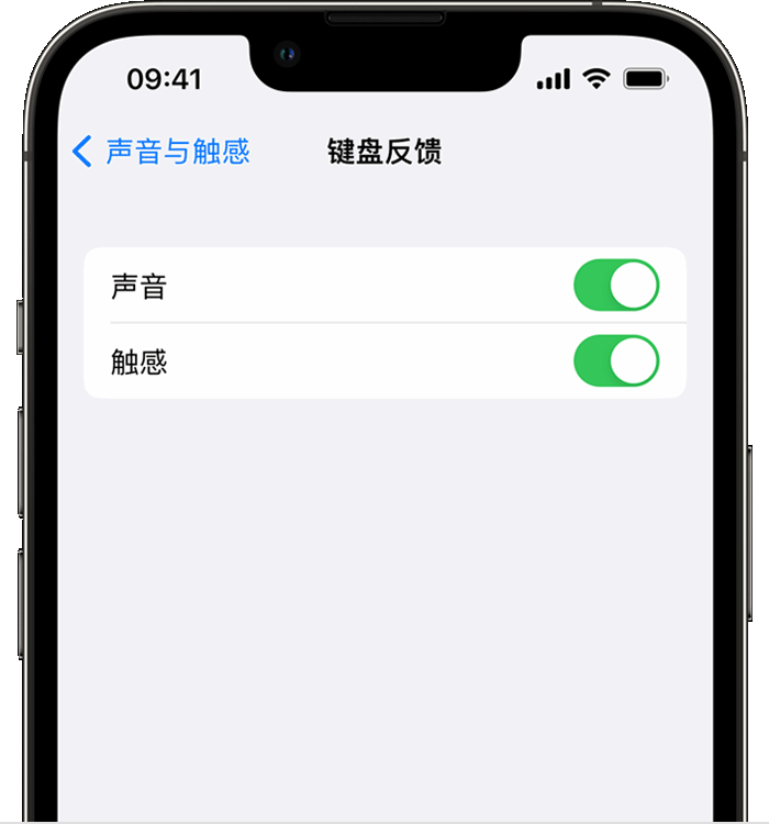 彬县苹果14维修店分享如何在 iPhone 14 机型中使用触感键盘 