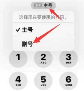 彬县苹果14维修店分享iPhone 14 Pro Max使用副卡打电话的方法 