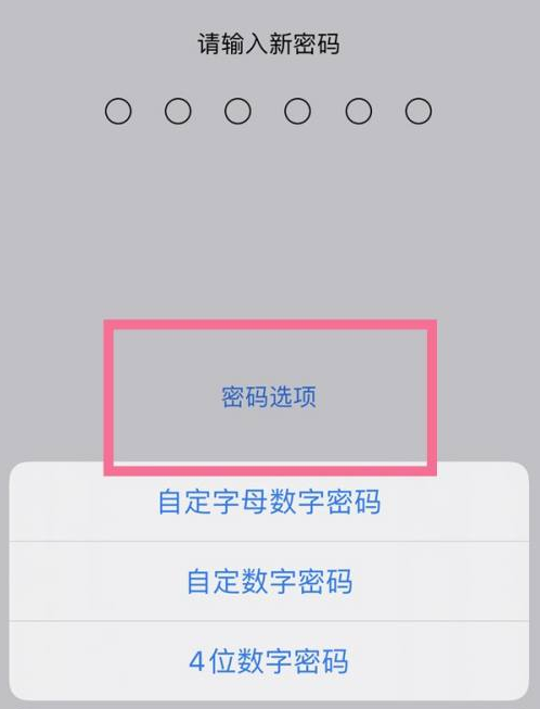 彬县苹果14维修分享iPhone 14plus设置密码的方法 