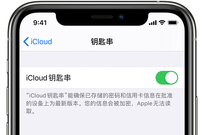 彬县苹果手机维修分享在 iPhone 上开启 iCloud 钥匙串之后会储存哪些信息 