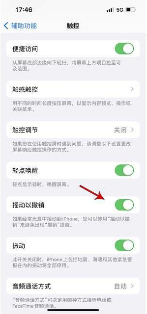 彬县苹果手机维修分享iPhone手机如何设置摇一摇删除文字 