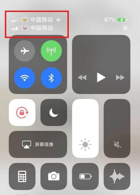 彬县苹果手机维修分享为 iPhone 12 双卡设置标签 